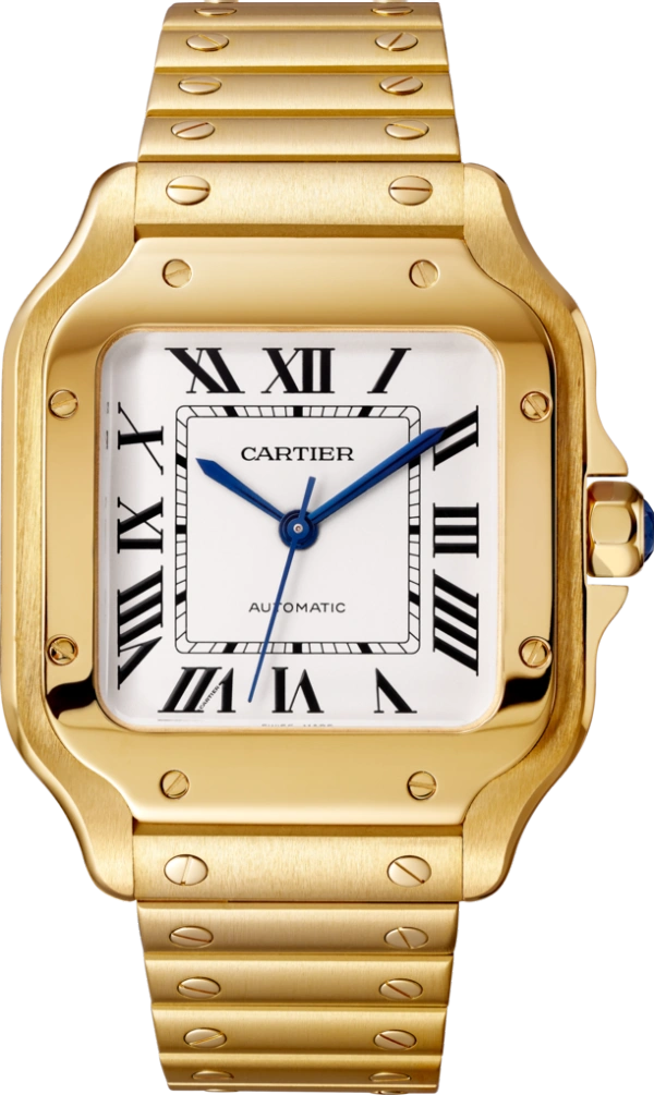 CARTIER santos 18kt Yellow Gold Men's WatchItem -WGSA0007(AAAAA)