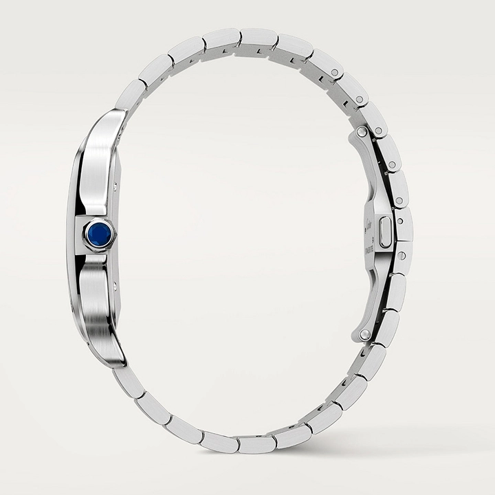 SANTOS DE CARTIER WATCH-WSSA0009 - Image 9