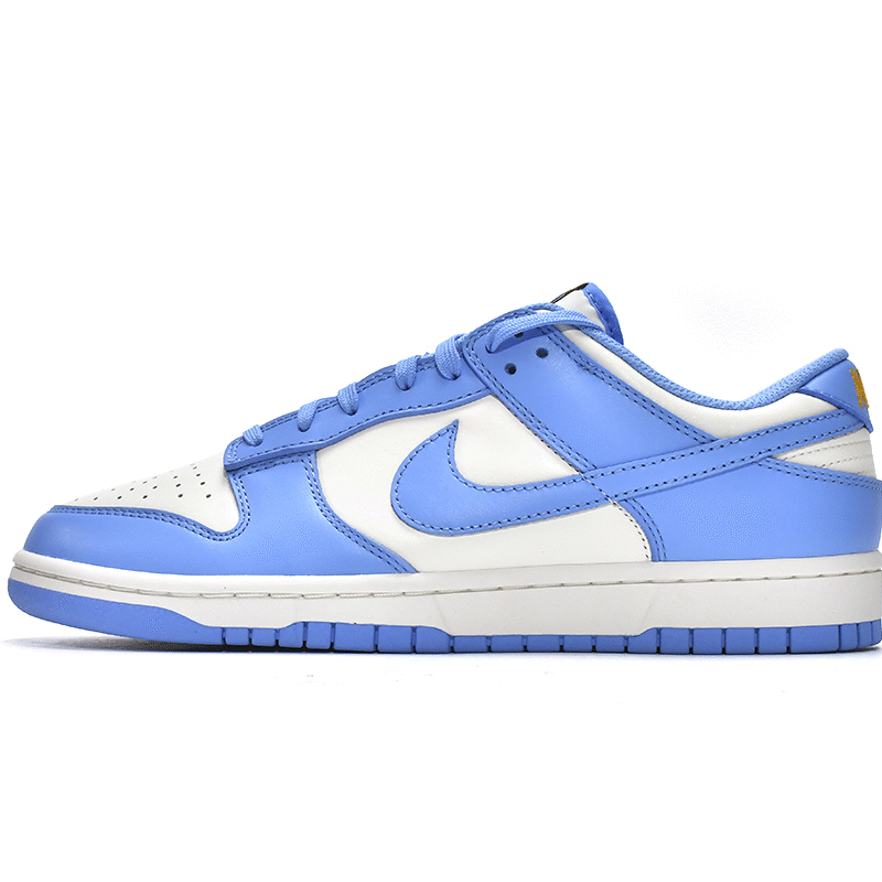 LJR Batch Nike Dunk Low Coast (W) DD1503-100