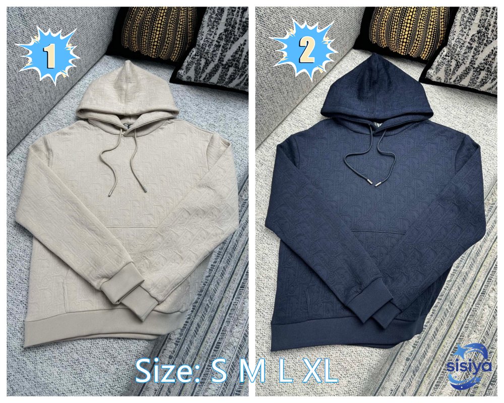 Dior hooded sweatshirt 102403