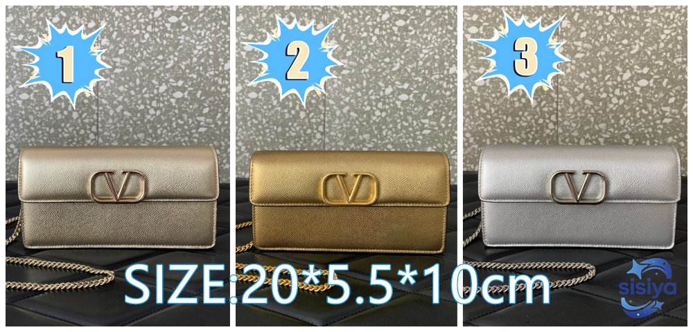 Valentino new handbag collection L102304
