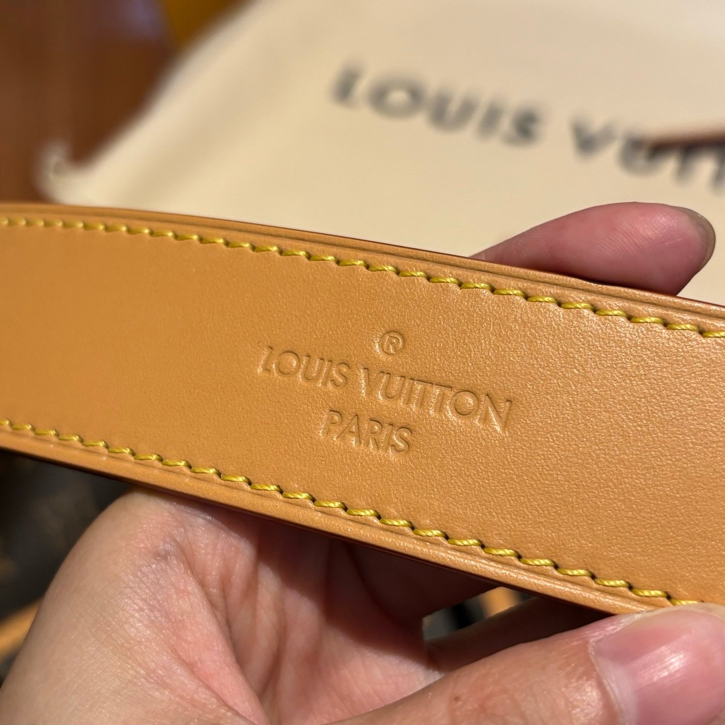 Louis Vuitton Capucines Bag L100804 - Image 7