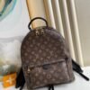 Louis Vuitton Palm Springs MM Monogram L110503