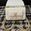 CHANEL Chain Crossbody Bag L110607