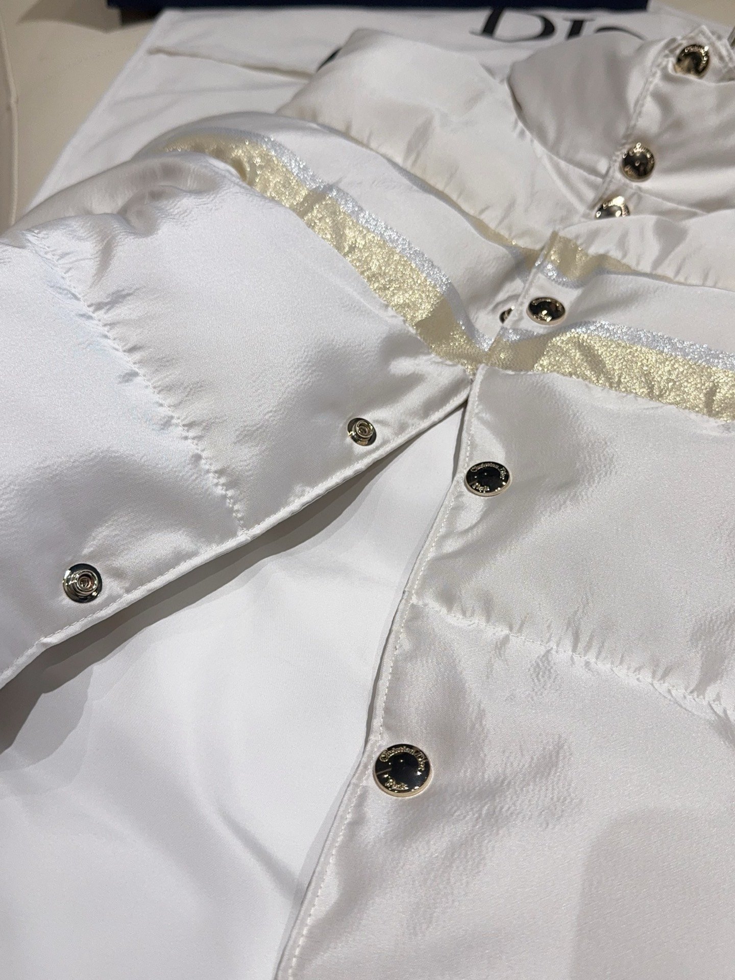 Dior Alps Puffer Vest D112409 - Image 4