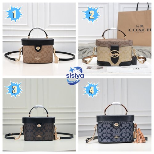 Coach handbag B6020402