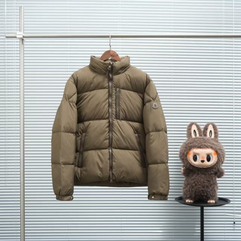Moncler Besbre down jacket M6021801