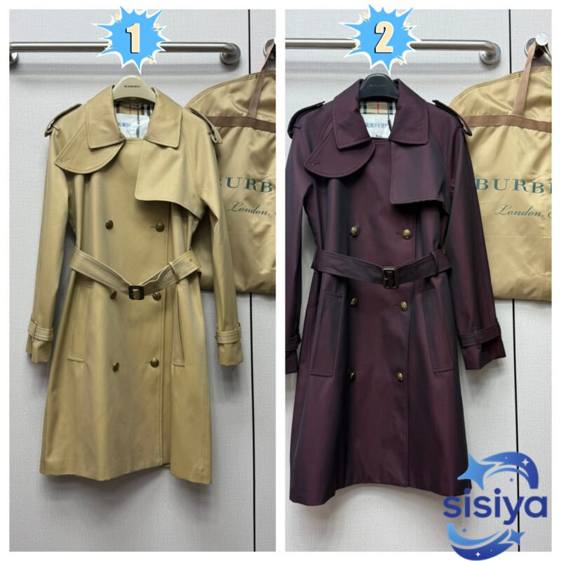 Burberry Trench coat long W6022303