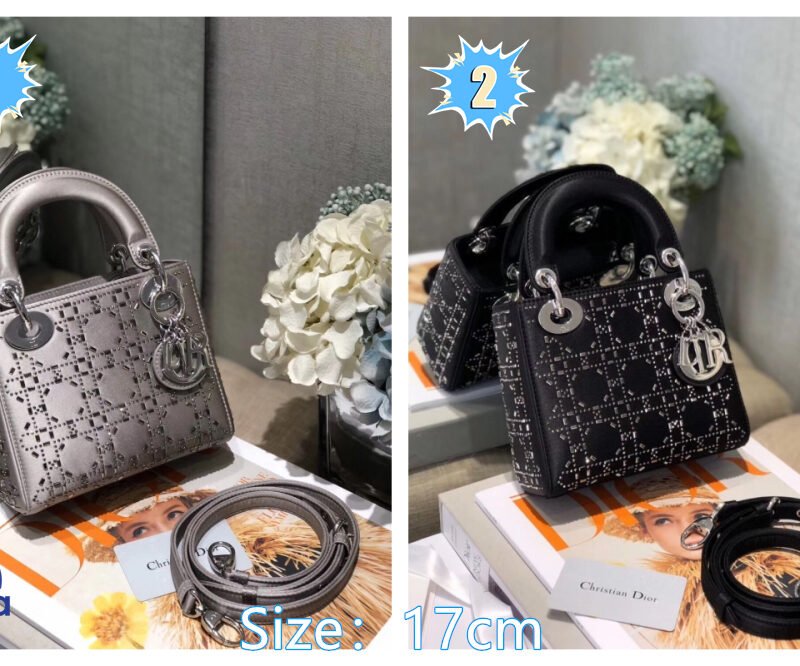 Dior Mini Lady Dior 17cm bag B6032501