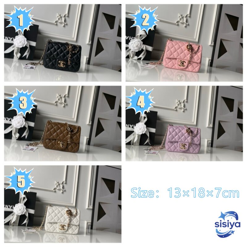 Chanel Mini classic handbag B6040703