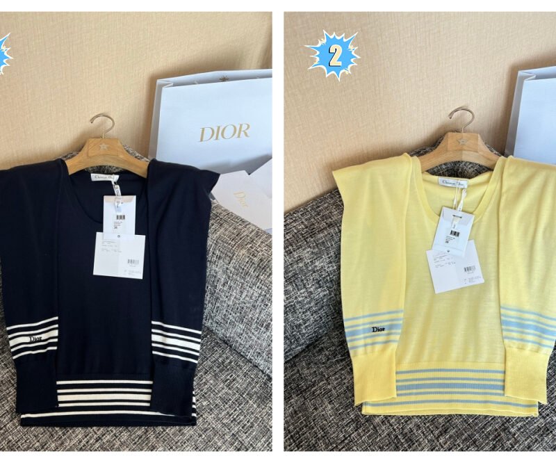 Dior Sleeveless Sweater W6041505