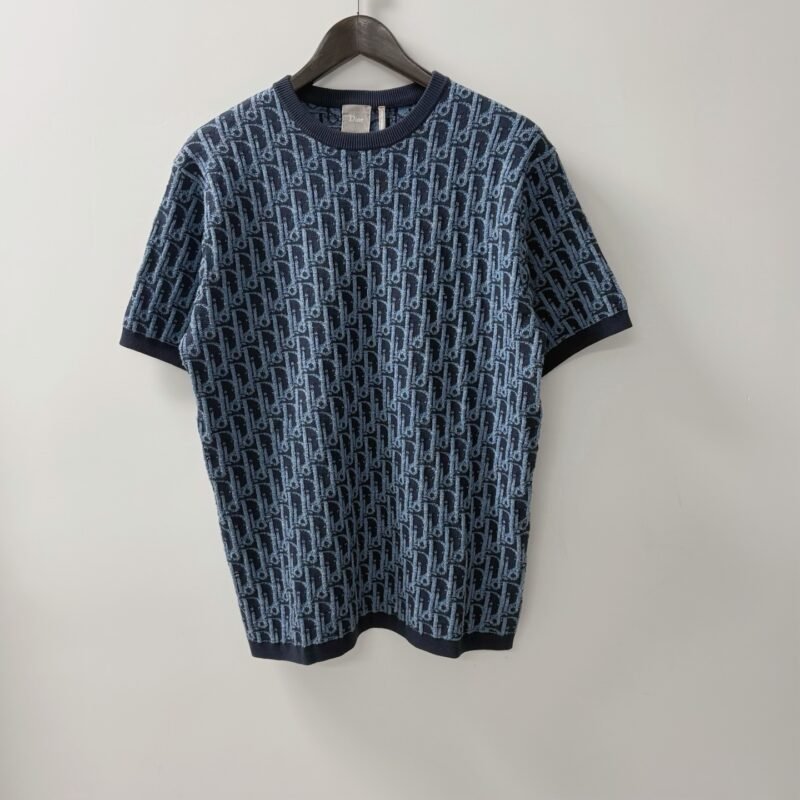 DIOR / Dior Blue Plaid Cotton Knitted Round-neck Short-sleeved T-shirt M6052101