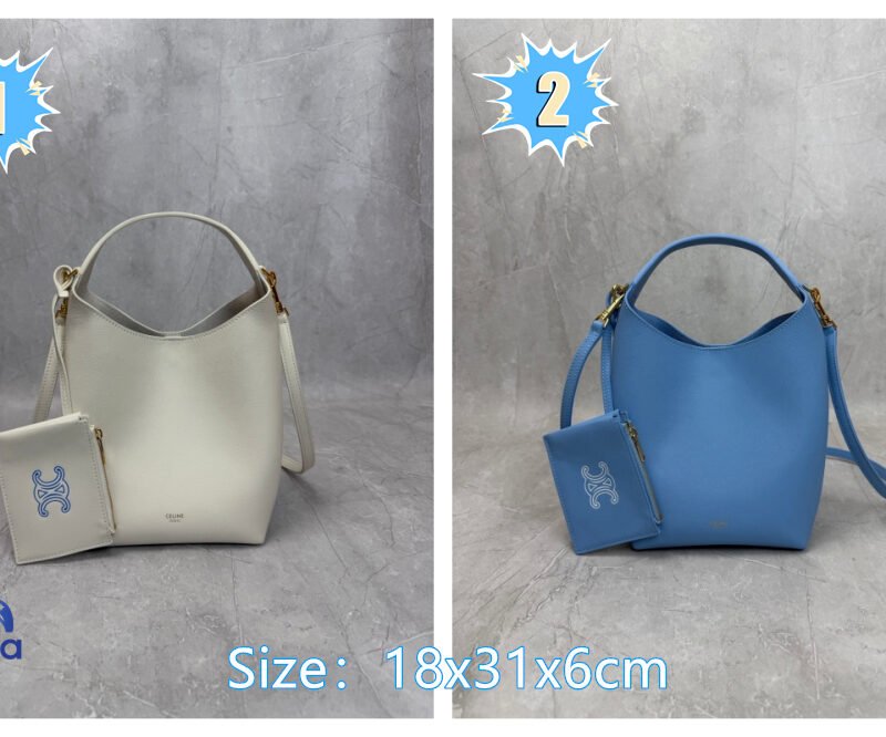 CELINE Small Size Hobo Handbag B6052501