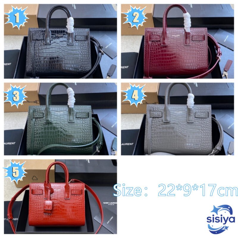 Saint Laurent Sac de Jour Nano handbag B6051901