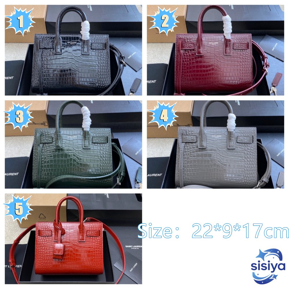 Saint Laurent Sac de Jour Nano handbag B6051901