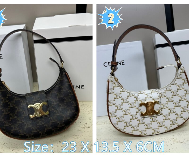 Celine medium-sized Ava Triomphe handbag B6051403